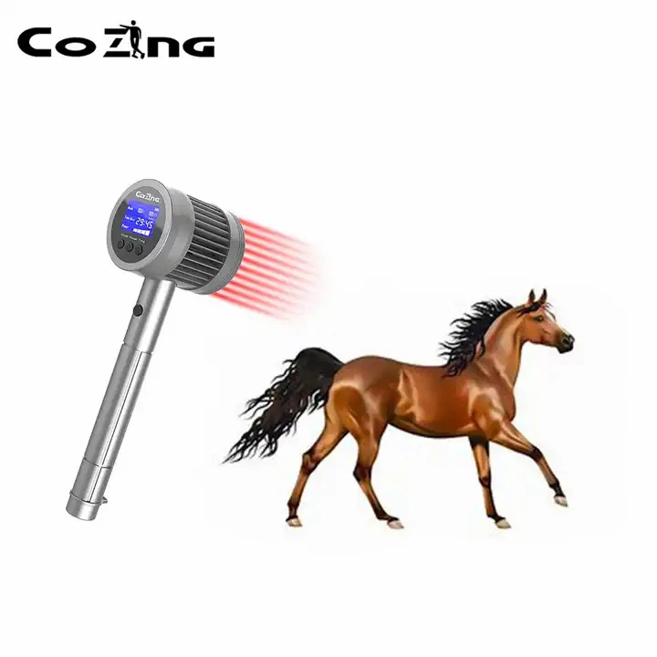 canine cold laser therapy1 canine cold laser therapy1